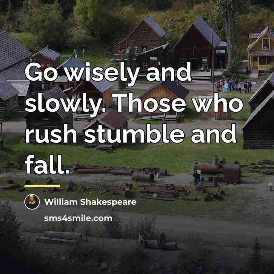 “Go wisely and slowly. Those who rush stumble and fall.…” quote by William Shakespeare