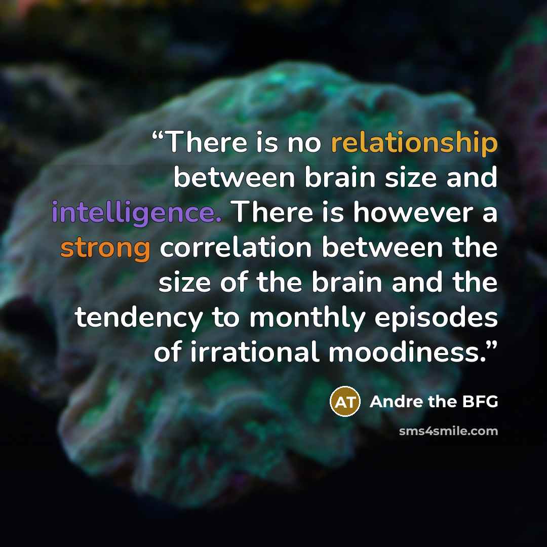 “There is no relationship between brain size and intelligence. There is however a strong correlation between the size of the brain and the tendency to monthly episodes of irrational moodiness.” quote by Andre the BFG
