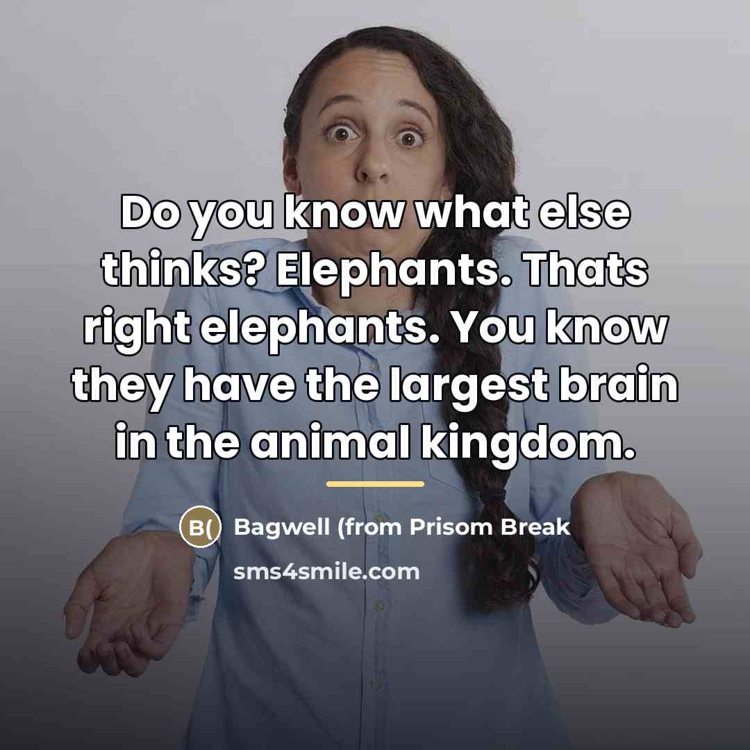 “Do you know what else thinks? Elephants. Thats right elephants.…” quote by Bagwell (from Prisom Break