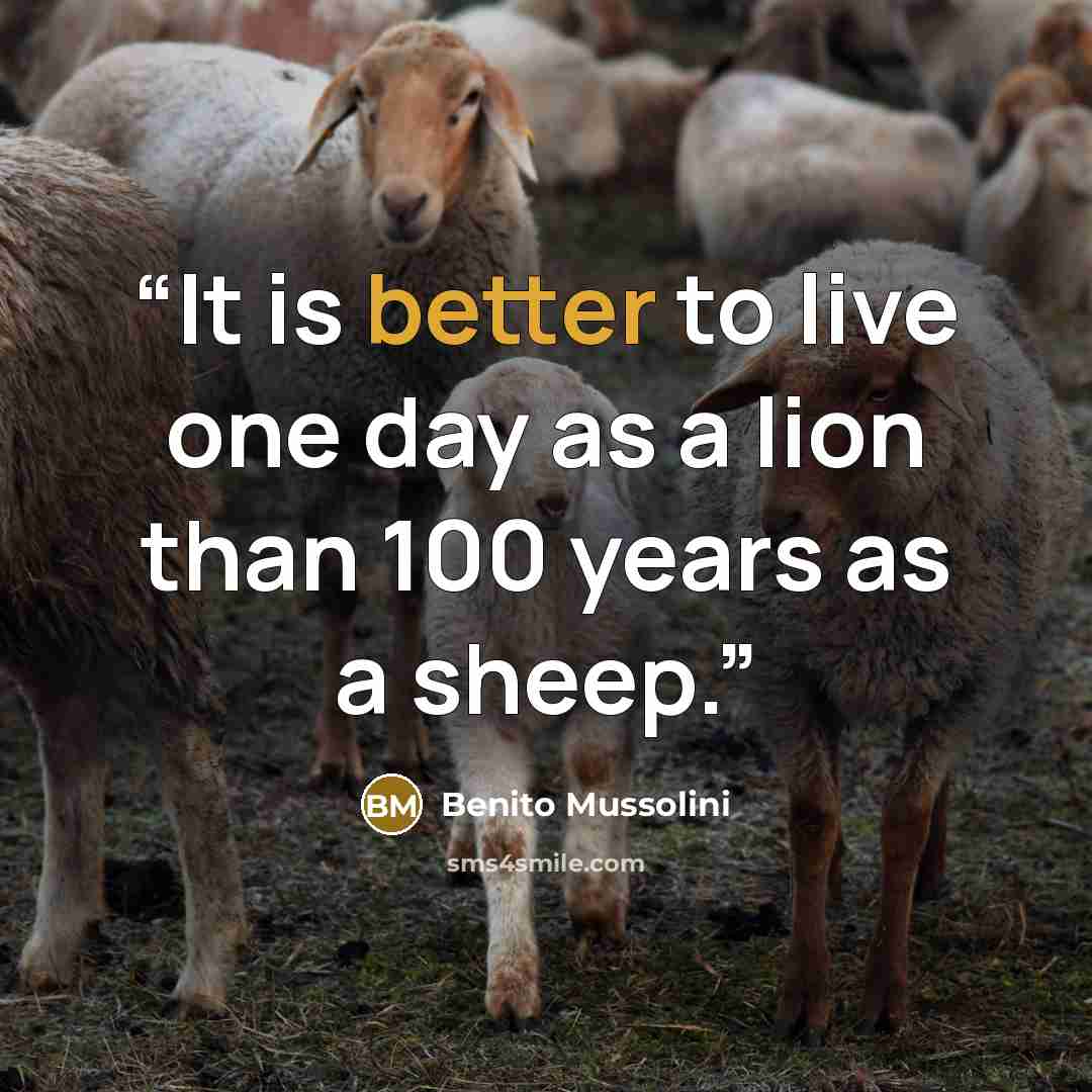 “It is better to live one day as a lion than 100 years as a sheep.” quote by Benito Mussolini