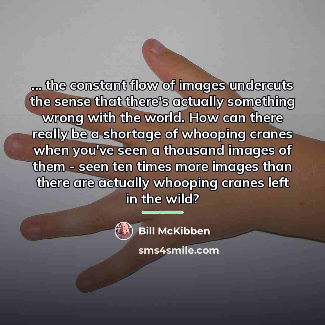 “... the constant flow of images undercuts the sense that…” quote by Bill McKibben