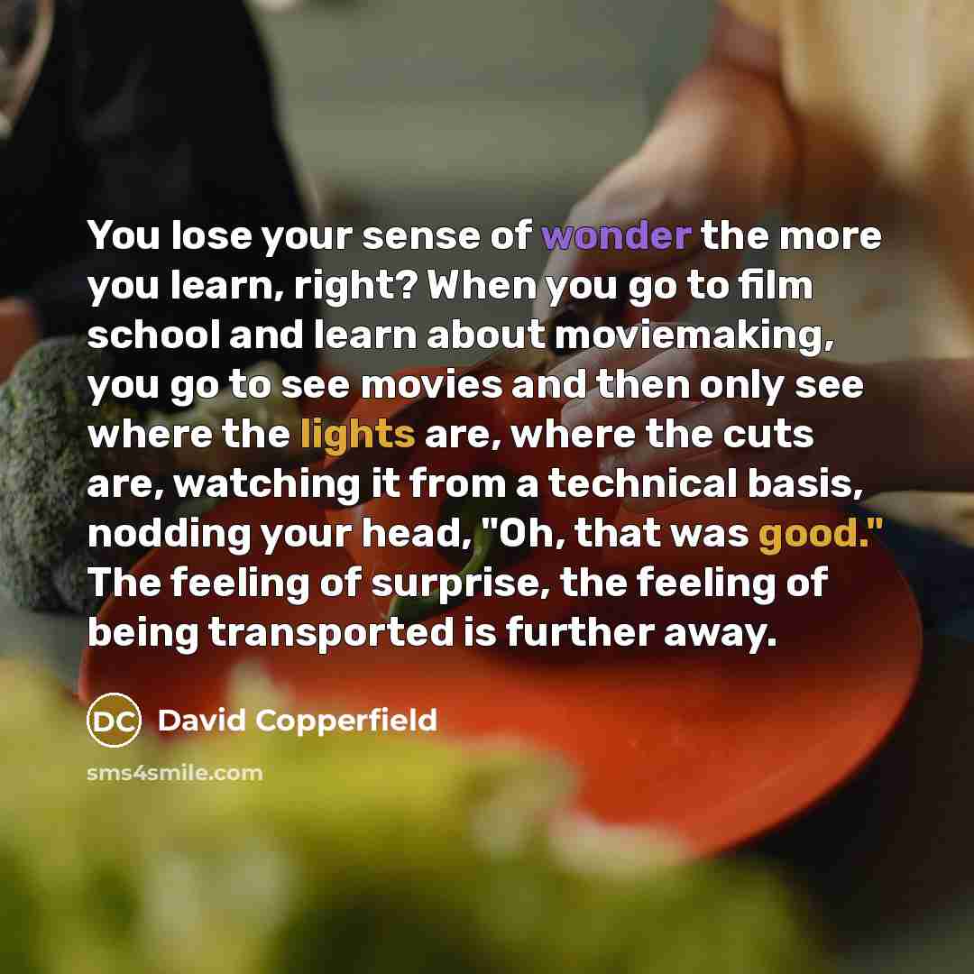 “You lose your sense of wonder the more you learn,…” quote by David Copperfield