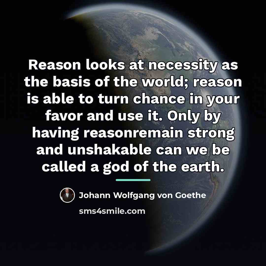 “Reason looks at necessity as the basis of the world;…” quote by Johann Wolfgang von Goethe
