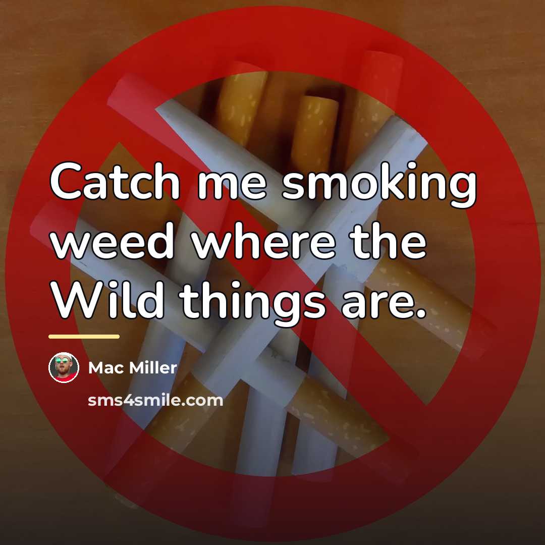“Catch me smoking weed where the Wild things are.…” quote by Mac Miller