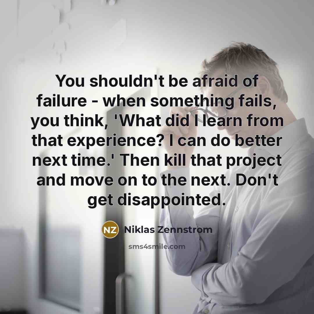 “You shouldn't be afraid of failure - when something fails,…” quote by Niklas Zennstrom