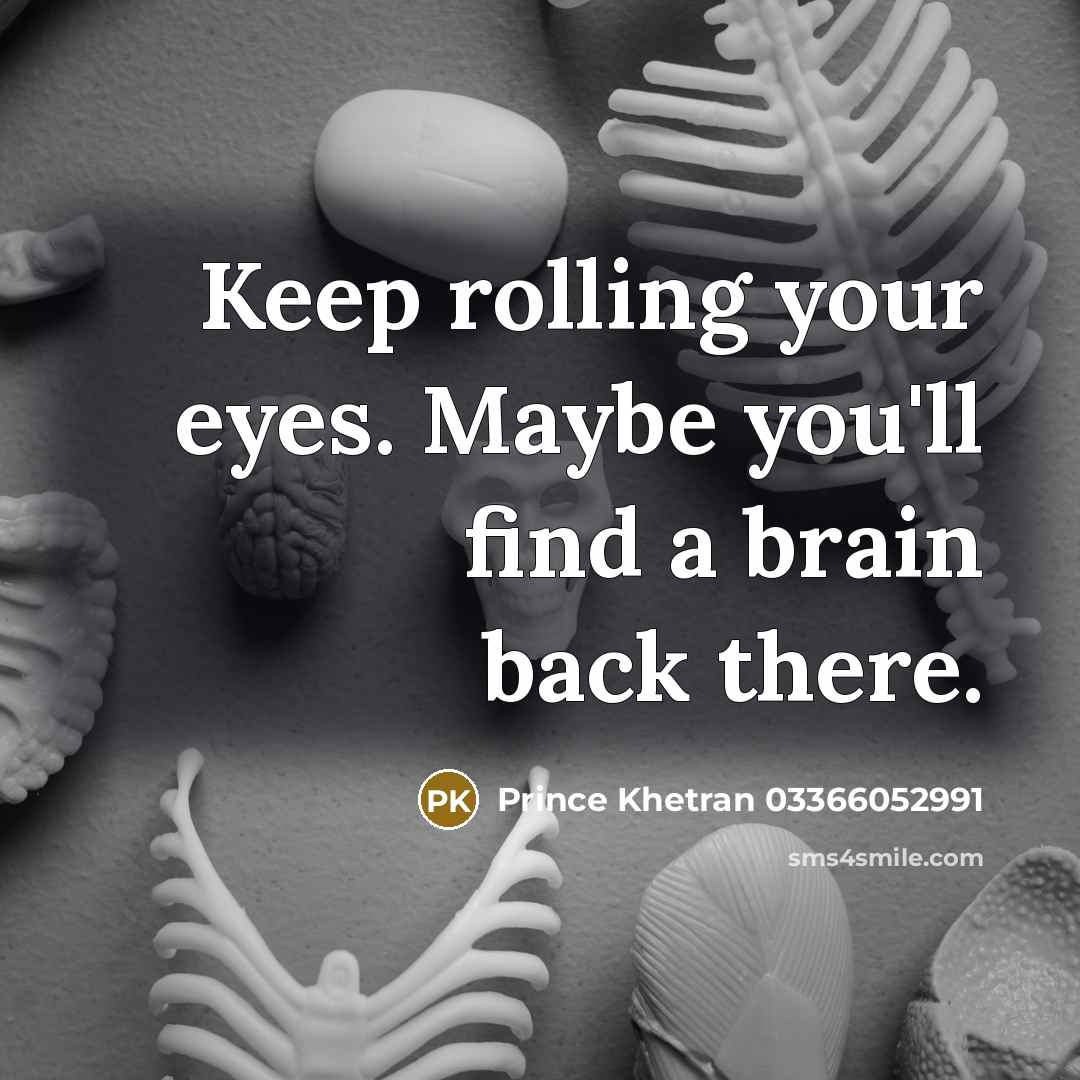 “Keep rolling your eyes. Maybe you'll find a brain back…” quote by Prince Khetran 03366052991