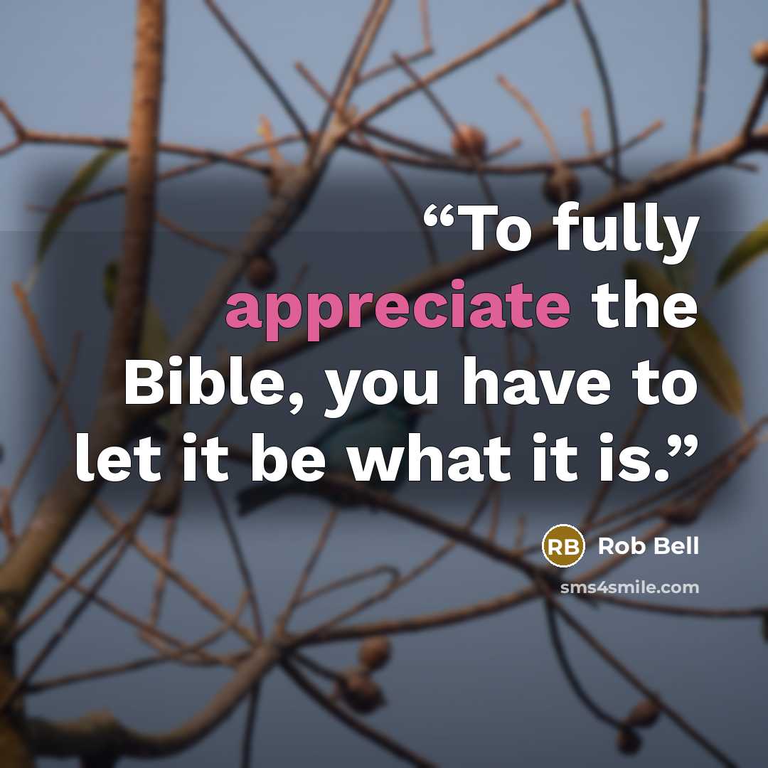 “To fully appreciate the Bible, you have to let it be what it is.” quote by Rob Bell