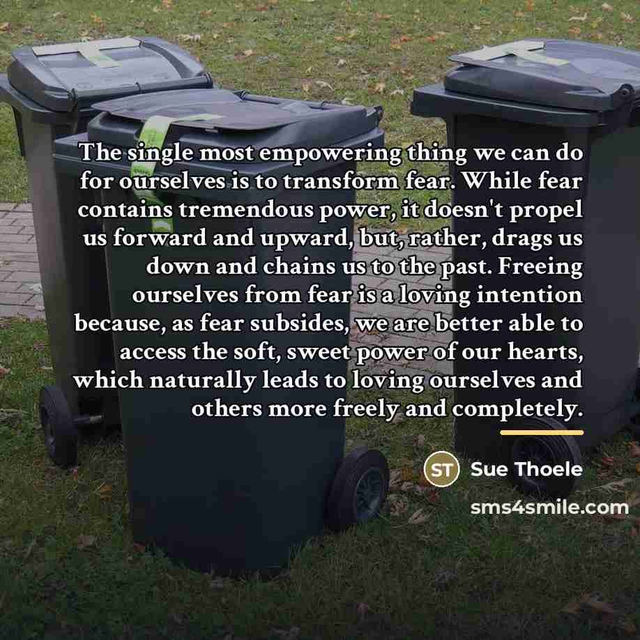 “The single most empowering thing we can do for ourselves…” quote by Sue Thoele