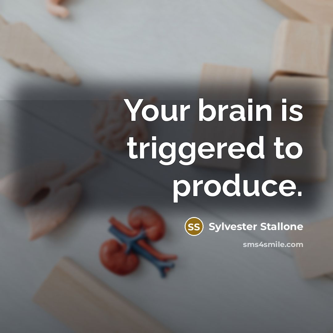 “Your brain is triggered to produce.…” quote by Sylvester Stallone