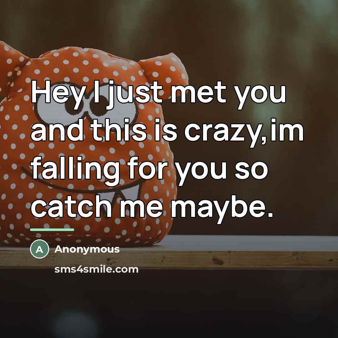 “Hey I just met you and this is crazy,im falling…” quote by Anonymous