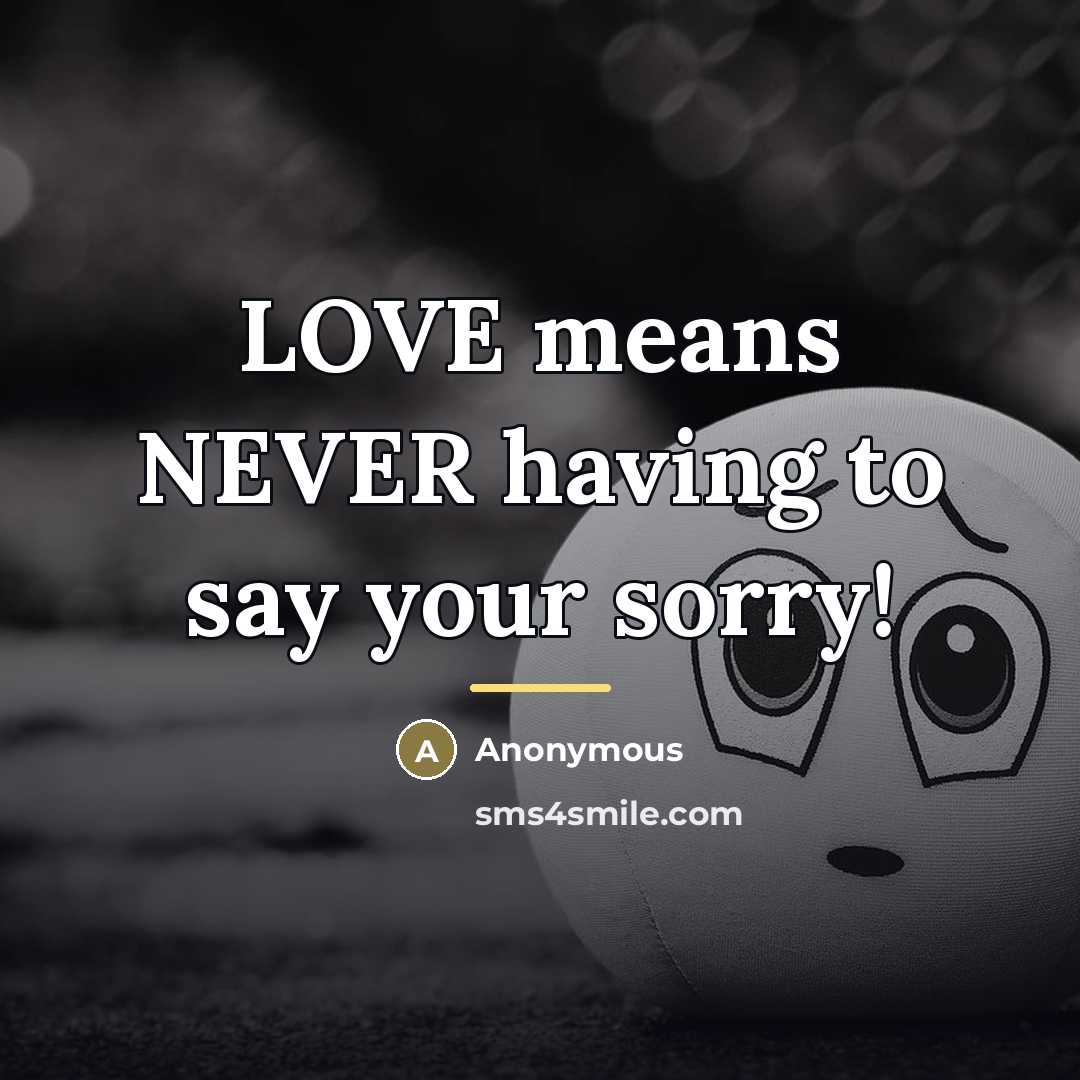 “LOVE means NEVER having to say your sorry!…” quote by Love Story