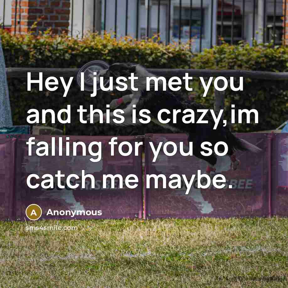 “Hey I just met you and this is crazy,im falling for you so catch me maybe.” quote by Anonymous