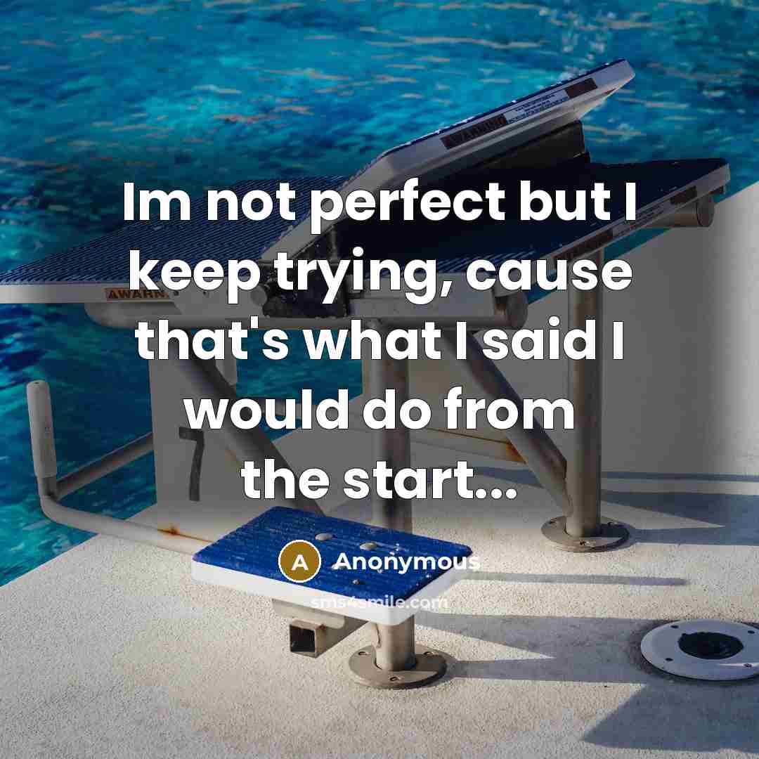 “Im not perfect but I keep trying, cause that's what I said I would do from the start...” quote by Anonymous