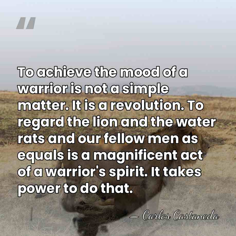 To achieve the mood of a warrior is not a simple matter.&hellip; - Carlos Castaneda