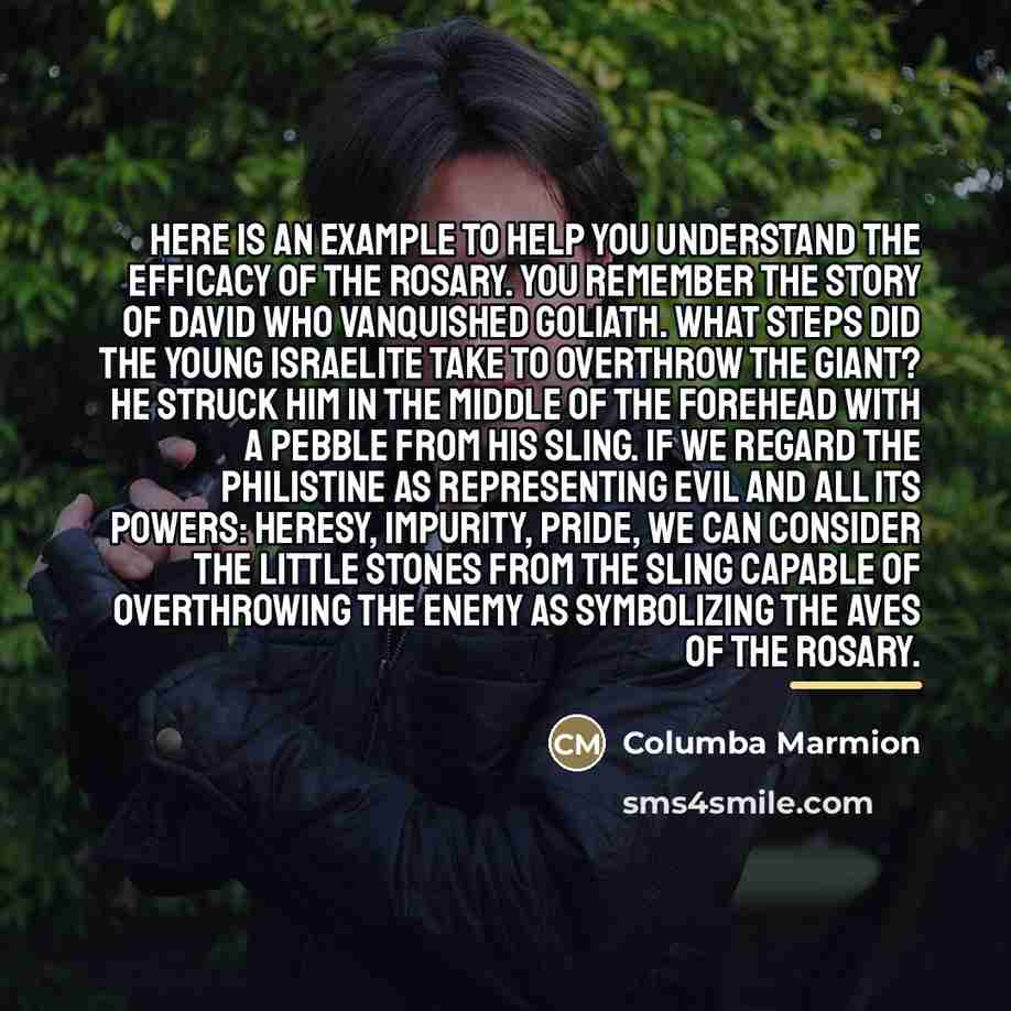 “Here is an example to help you understand the efficacy…” quote by Columba Marmion
