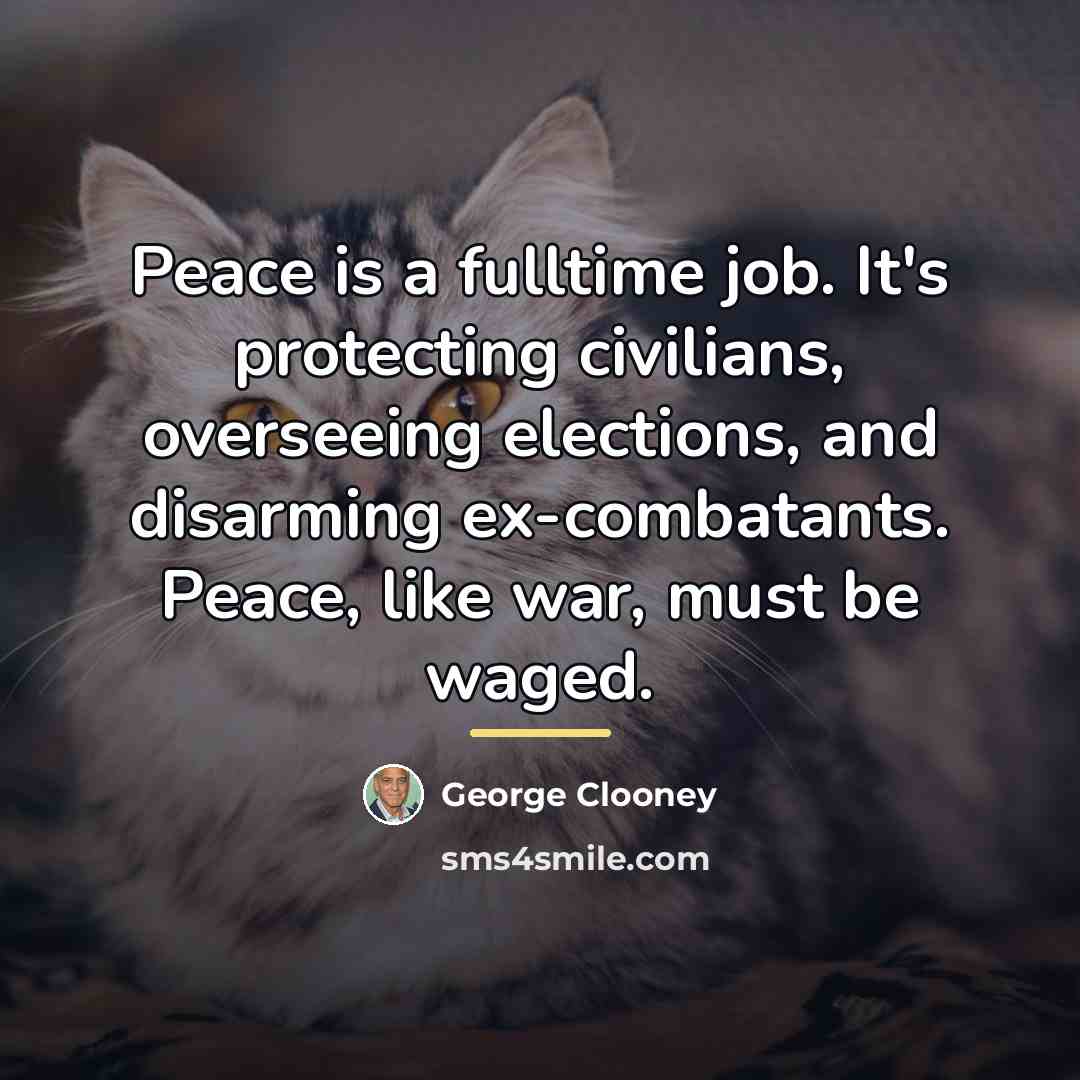 “Peace is a fulltime job. It's protecting civilians, overseeing elections,…” quote by George Clooney