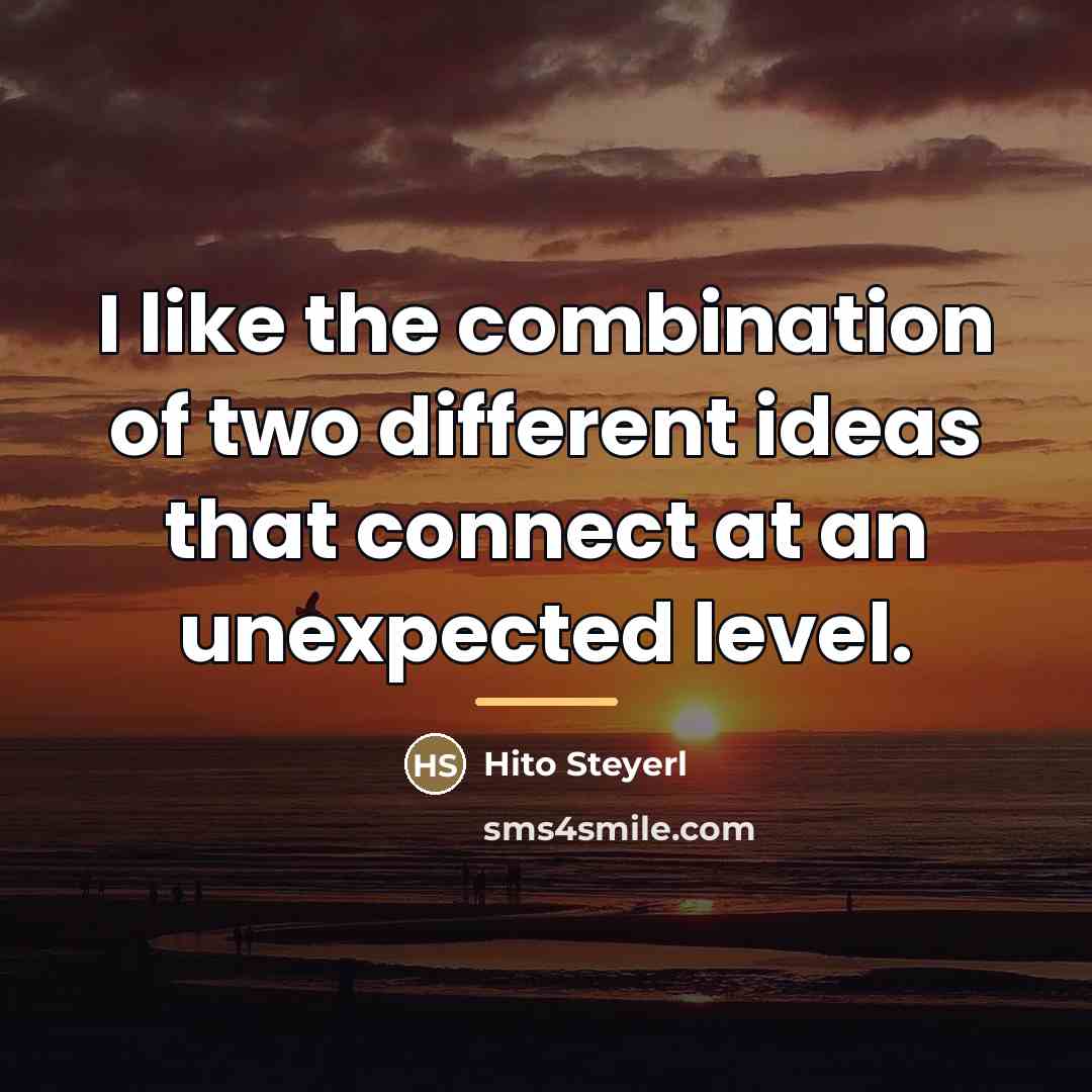 “I like the combination of two different ideas that connect…” quote by Hito Steyerl