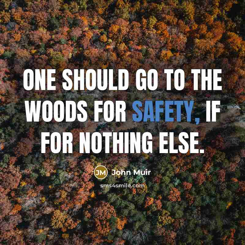 “One should go to the woods for safety, if for…” quote by John Muir