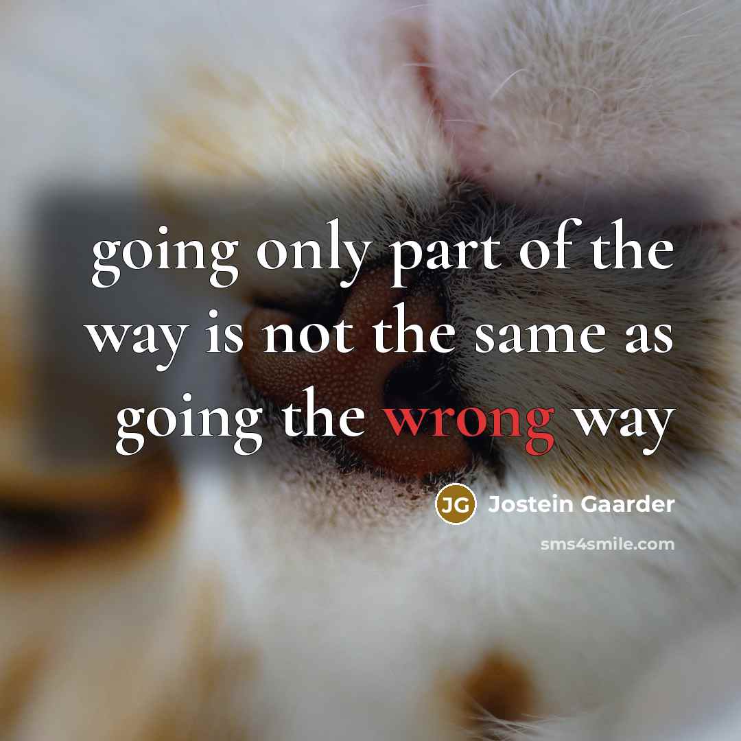 “going only part of the way is not the same as going the wrong way” quote by Jostein Gaarder