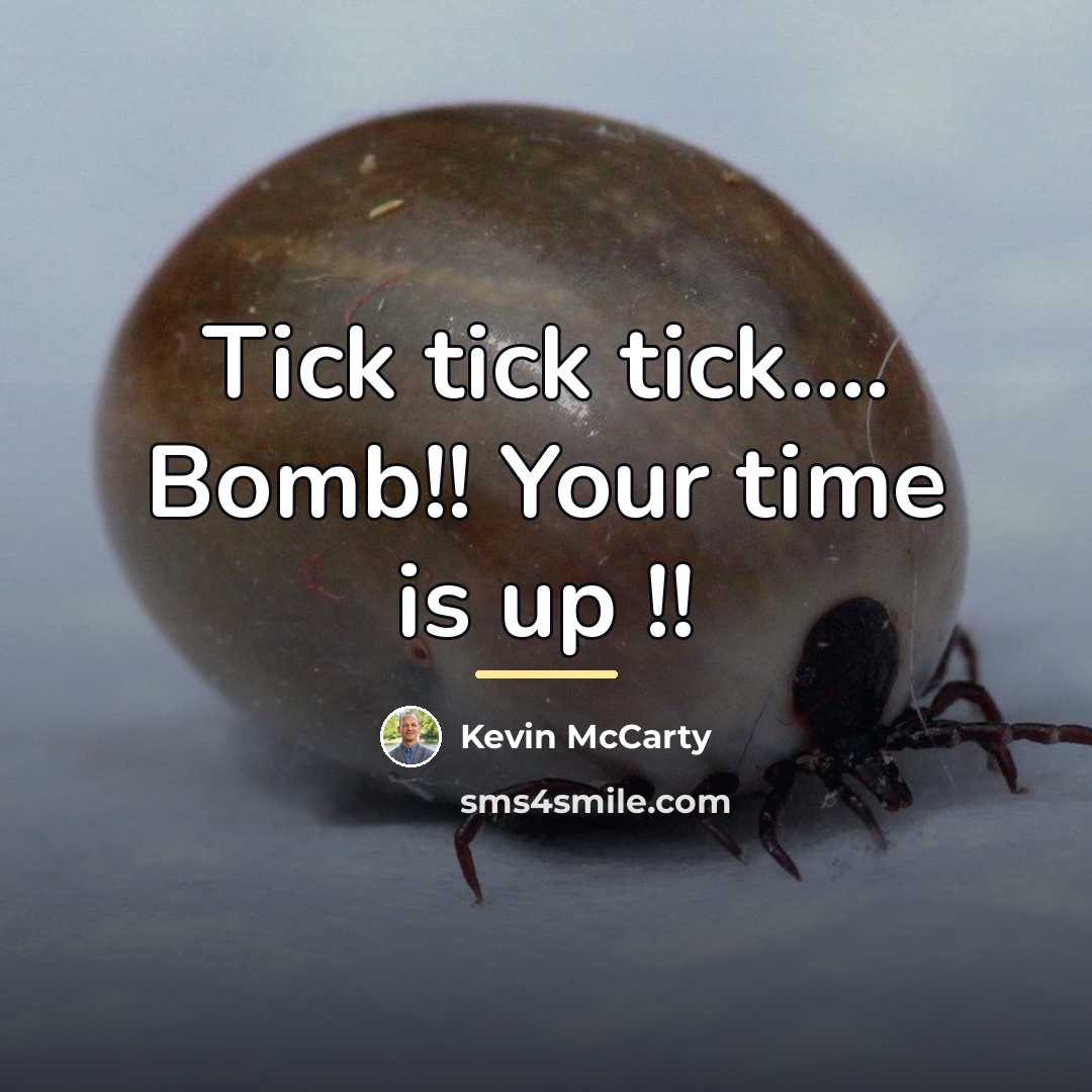 “Tick tick tick.... Bomb!! Your time is up !!…” quote by Kevin McCarty