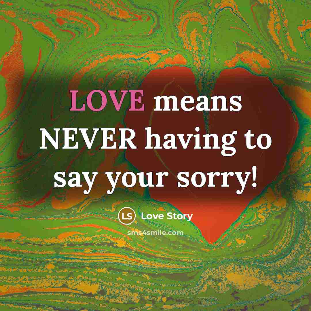 “LOVE means NEVER having to say your sorry!” quote by Love Story