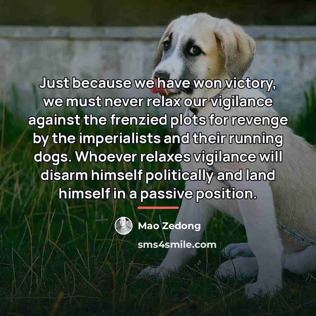 “Just because we have won victory, we must never relax…” quote by Mao Zedong