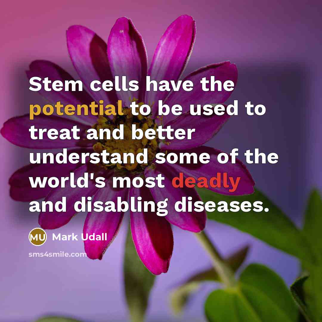 “Stem cells have the potential to be used to treat…” quote by Mark Udall