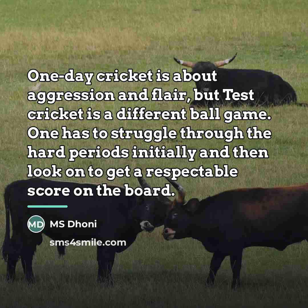 “One-day cricket is about aggression and flair, but Test cricket…” quote by MS Dhoni