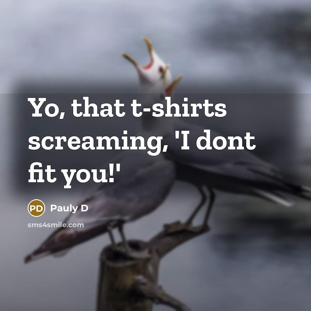 “Yo, that t-shirts screaming, 'I dont fit you!'…” quote by Pauly D