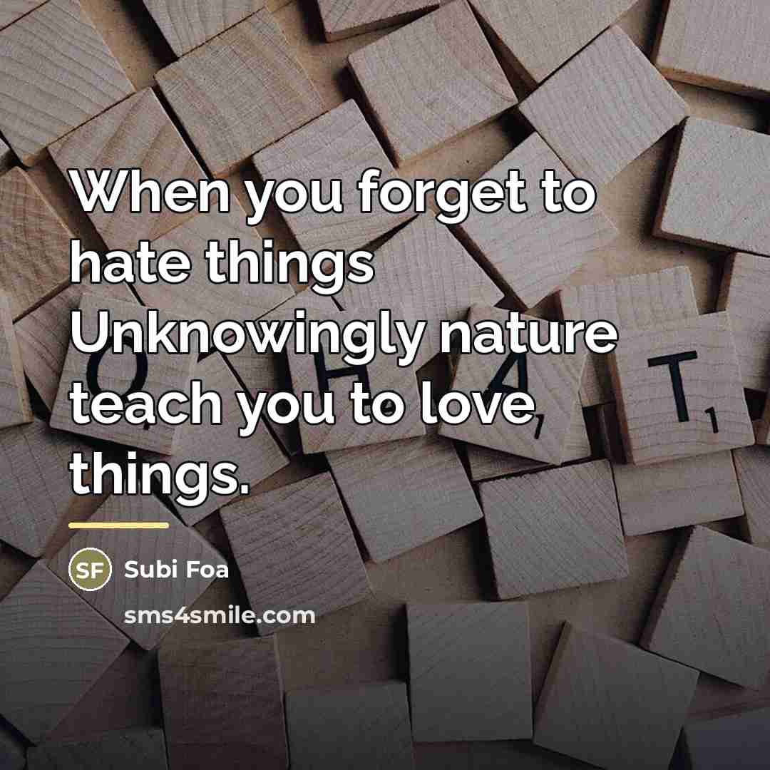 “When you forget to hate things Unknowingly nature teach you…” quote by Subi Foa