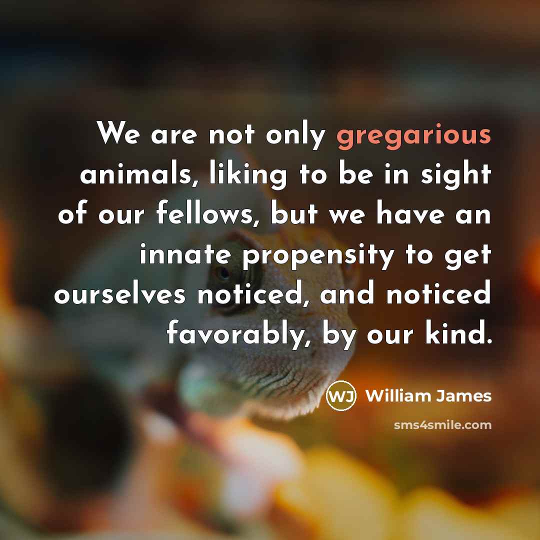“We are not only gregarious animals, liking to be in…” quote by William James