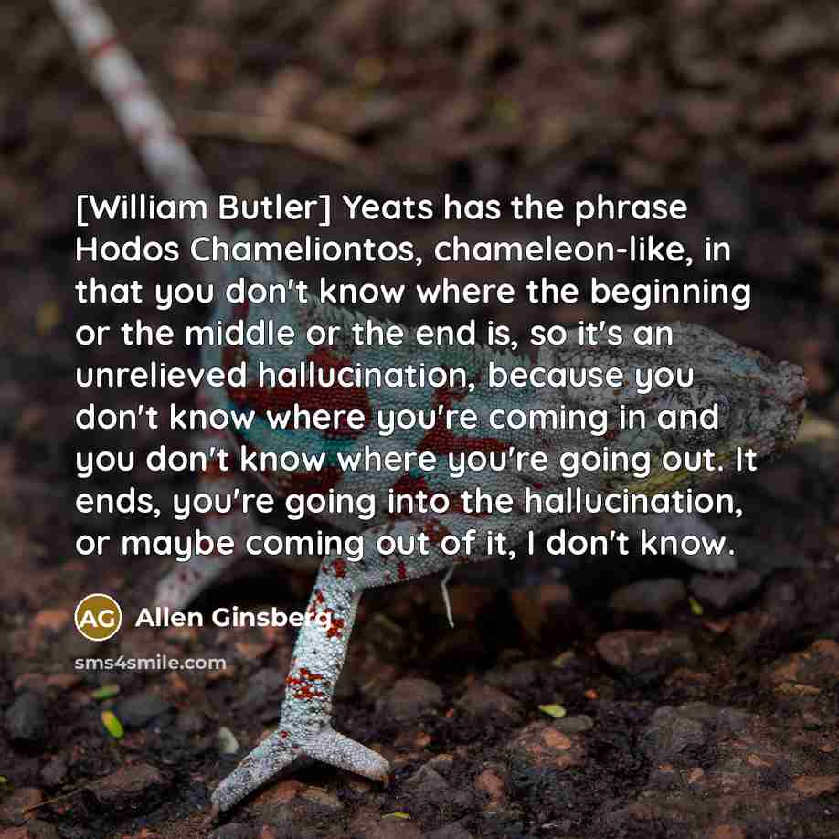 “[William Butler] Yeats has the phrase Hodos Chameliontos, chameleon-like, in…” quote by Allen Ginsberg