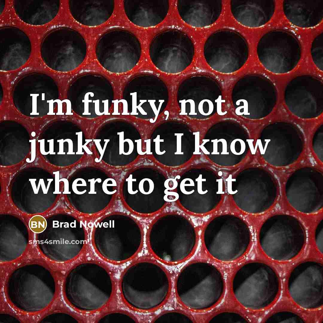 “I'm funky, not a junky but I know where to…” quote by Brad Nowell