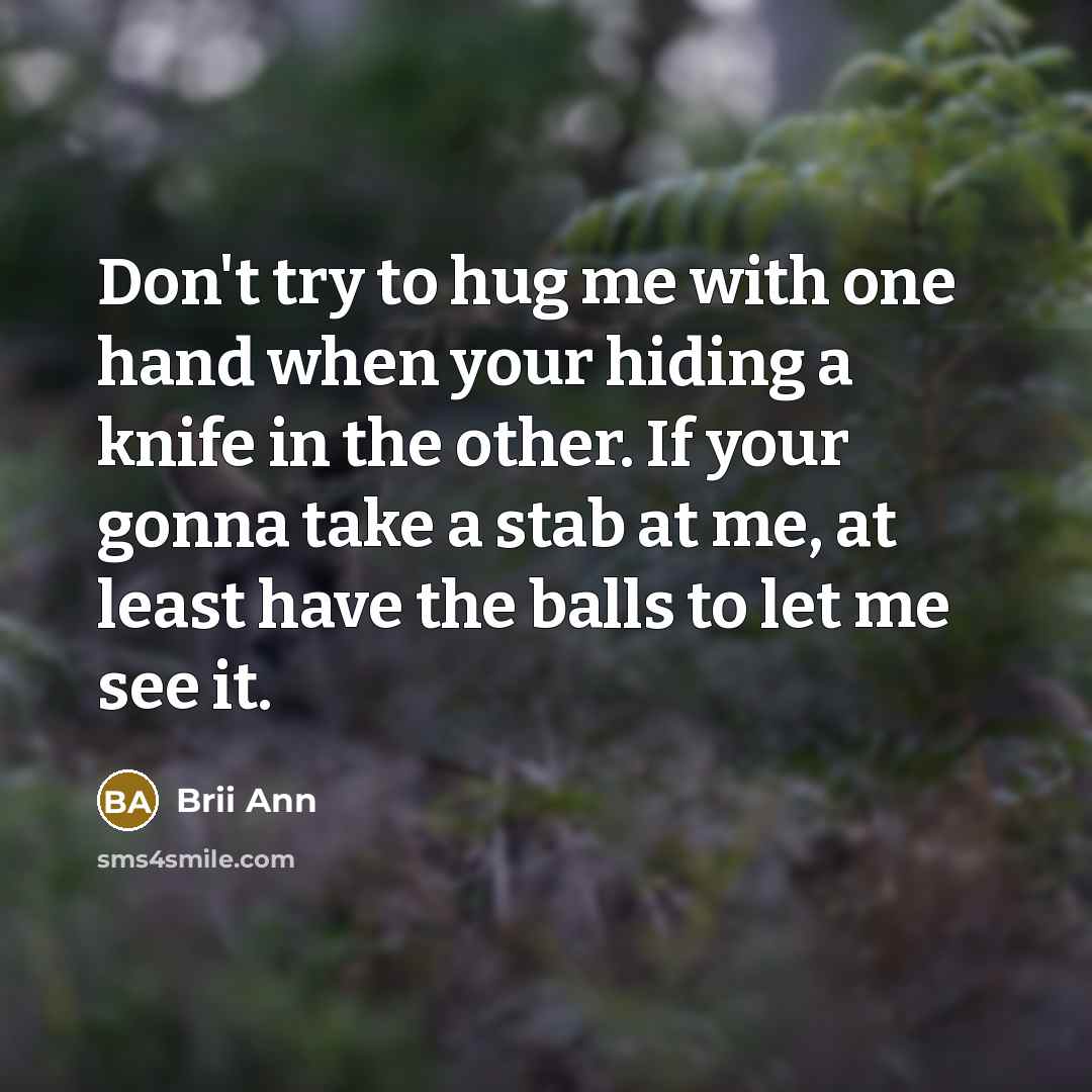 “Don't try to hug me with one hand when your…” quote by Brii Ann