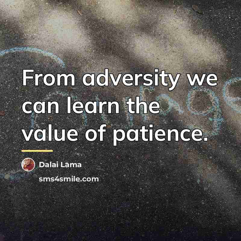 “From adversity we can learn the value of patience.…” quote by Dalai Lama