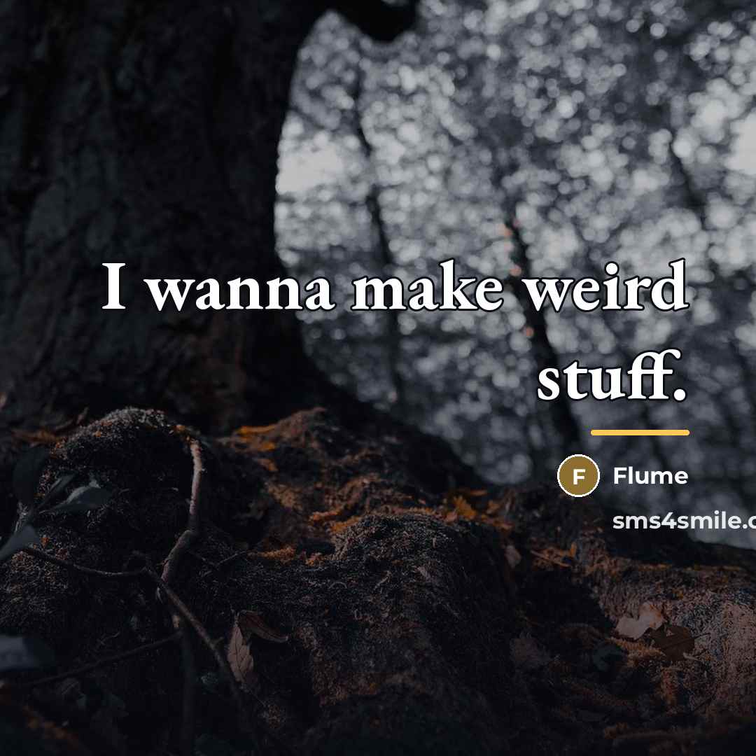 “I wanna make weird stuff.…” quote by Flume