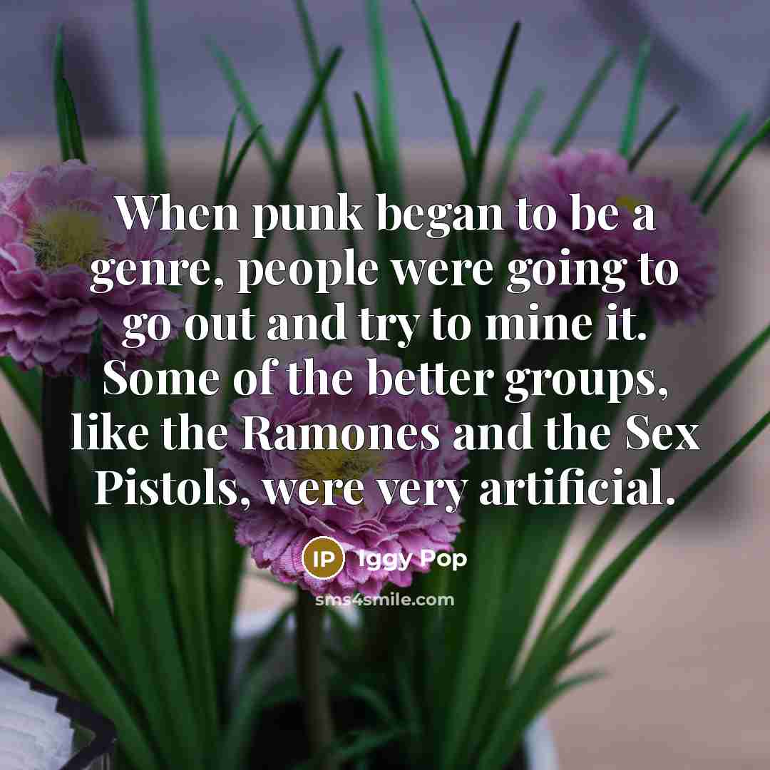 “When punk began to be a genre, people were going…” quote by Iggy Pop