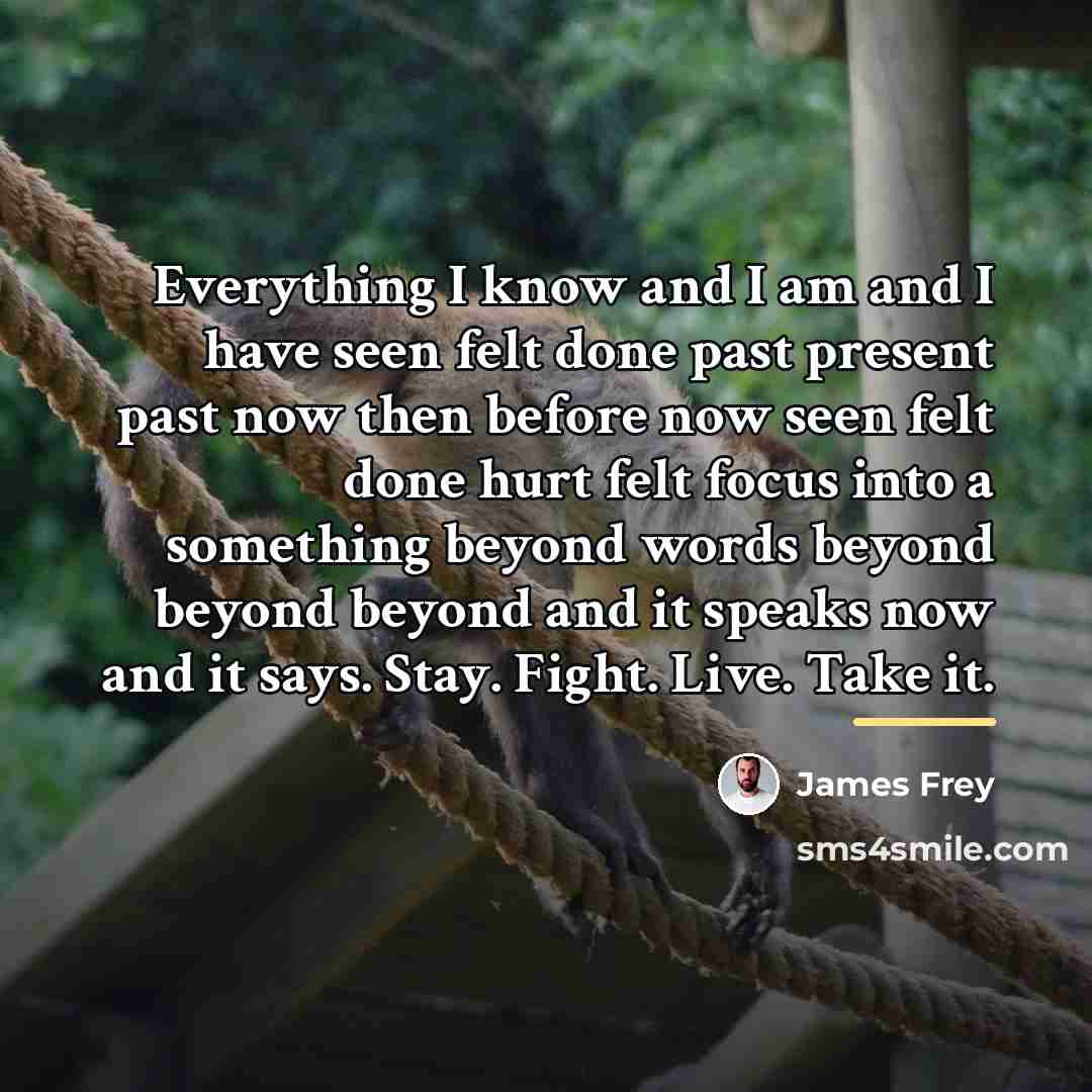 “Everything I know and I am and I have seen…” quote by James Frey