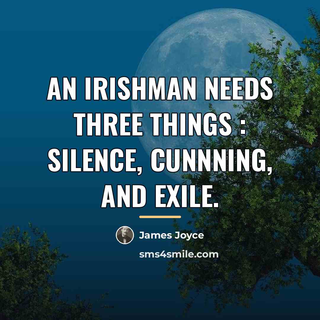 “An Irishman needs three things : silence, cunnning, and exile.…” quote by James Joyce