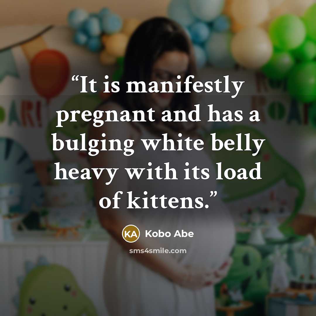 “It is manifestly pregnant and has a bulging white belly heavy with its load of kittens.” quote by Kōbō Abe