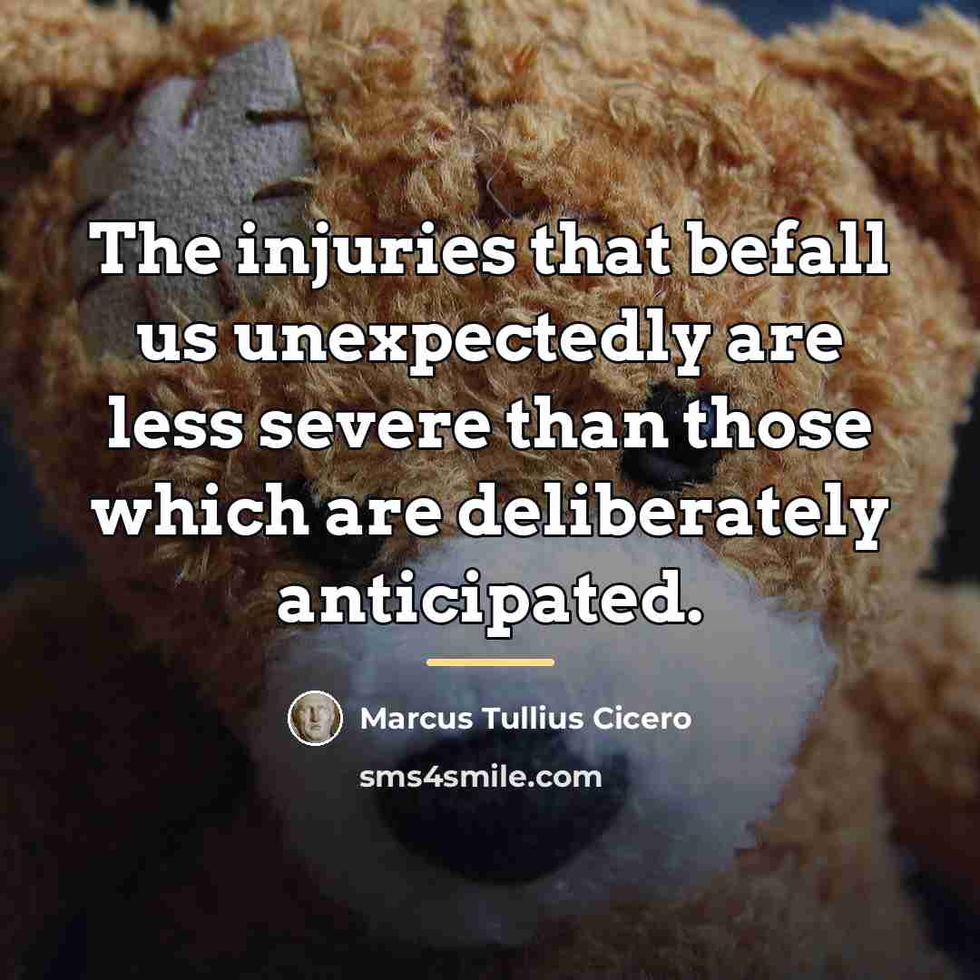 “The injuries that befall us unexpectedly are less severe than…” quote by Marcus Tullius Cicero