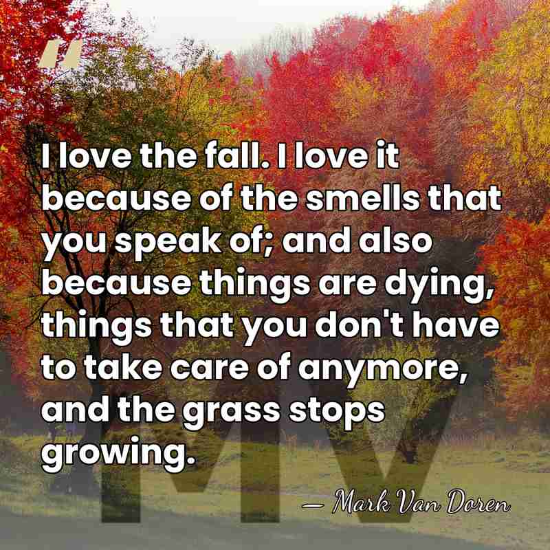 I love the fall. I love it because of the smells that&hellip; - Mark Van Doren