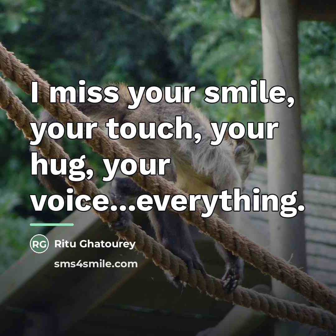 “I miss your smile, your touch, your hug, your voice...everything.…” quote by Ritu Ghatourey