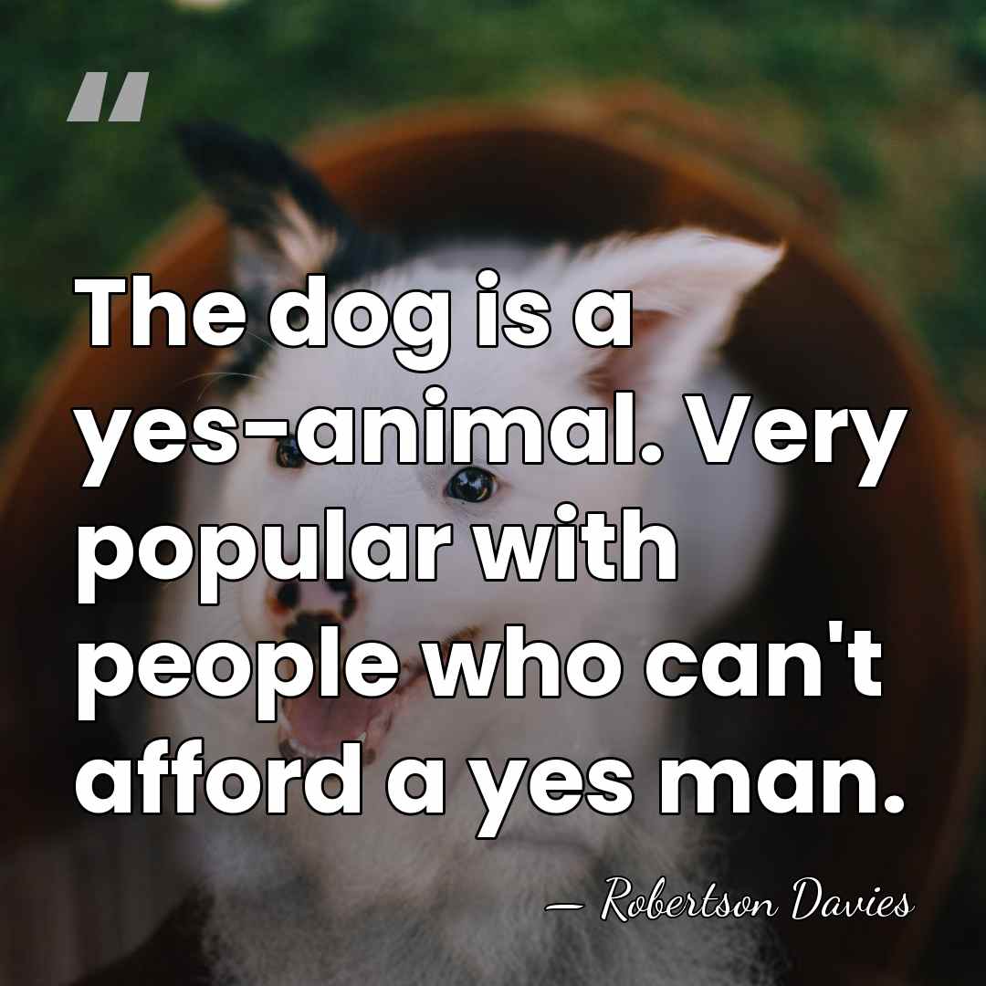 The dog is a yes-animal. Very popular with people who can't afford&hellip; - Robertson Davies