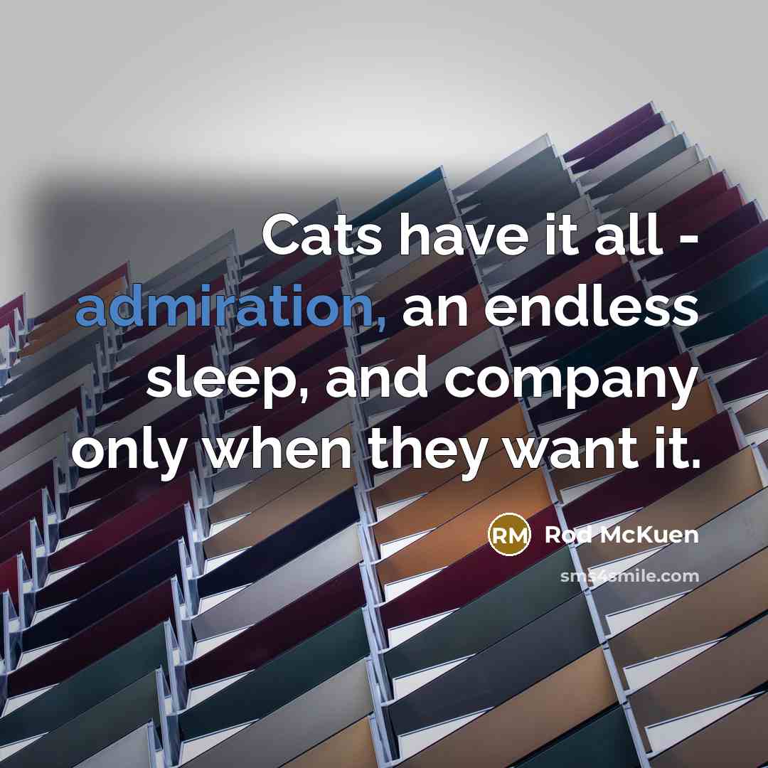 “Cats have it all - admiration, an endless sleep, and…” quote by Rod McKuen