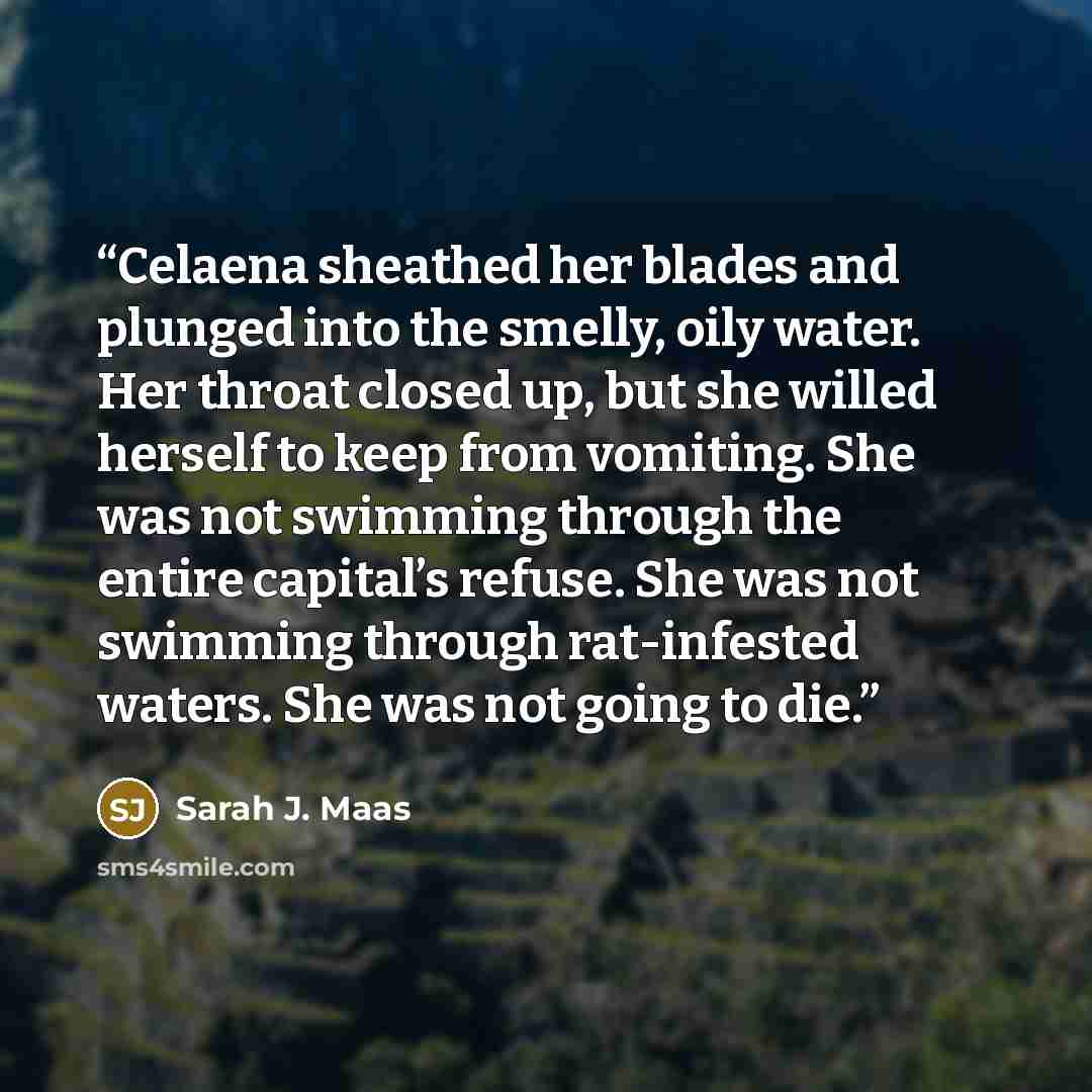“Celaena sheathed her blades and plunged into the smelly, oily water. Her throat closed up, but she willed herself to keep from vomiting. She was not swimming through the entire capital’s refuse. She was not swimming through rat-infested waters. She was not going to die.” quote by Sarah J. Maas