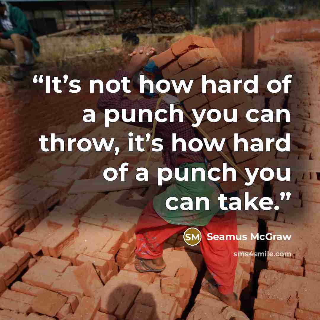 “It’s not how hard of a punch you can throw, it’s how hard of a punch you can take.” quote by Seamus McGraw