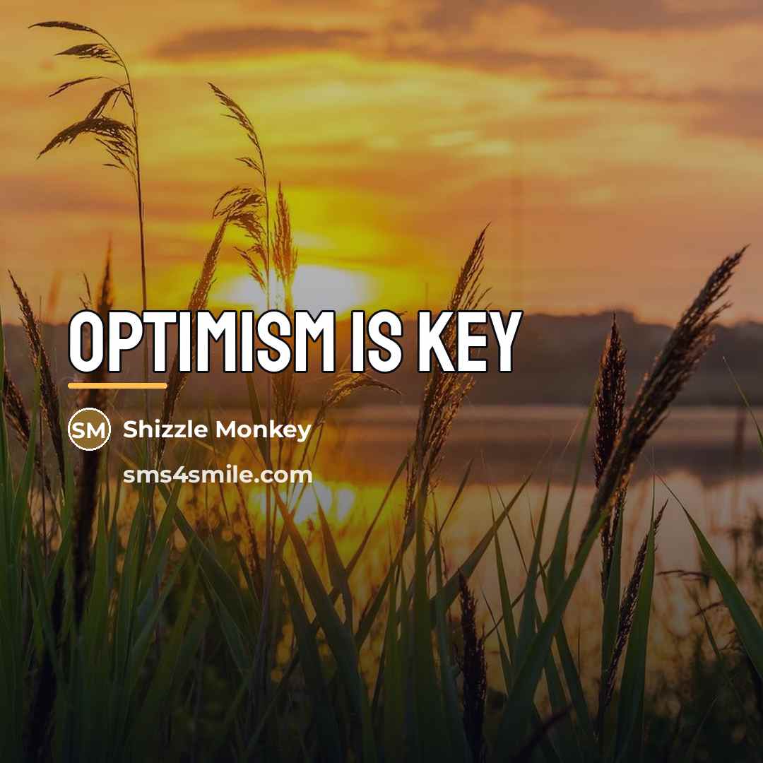 “Optimism is key…” quote by Shizzle Monkey