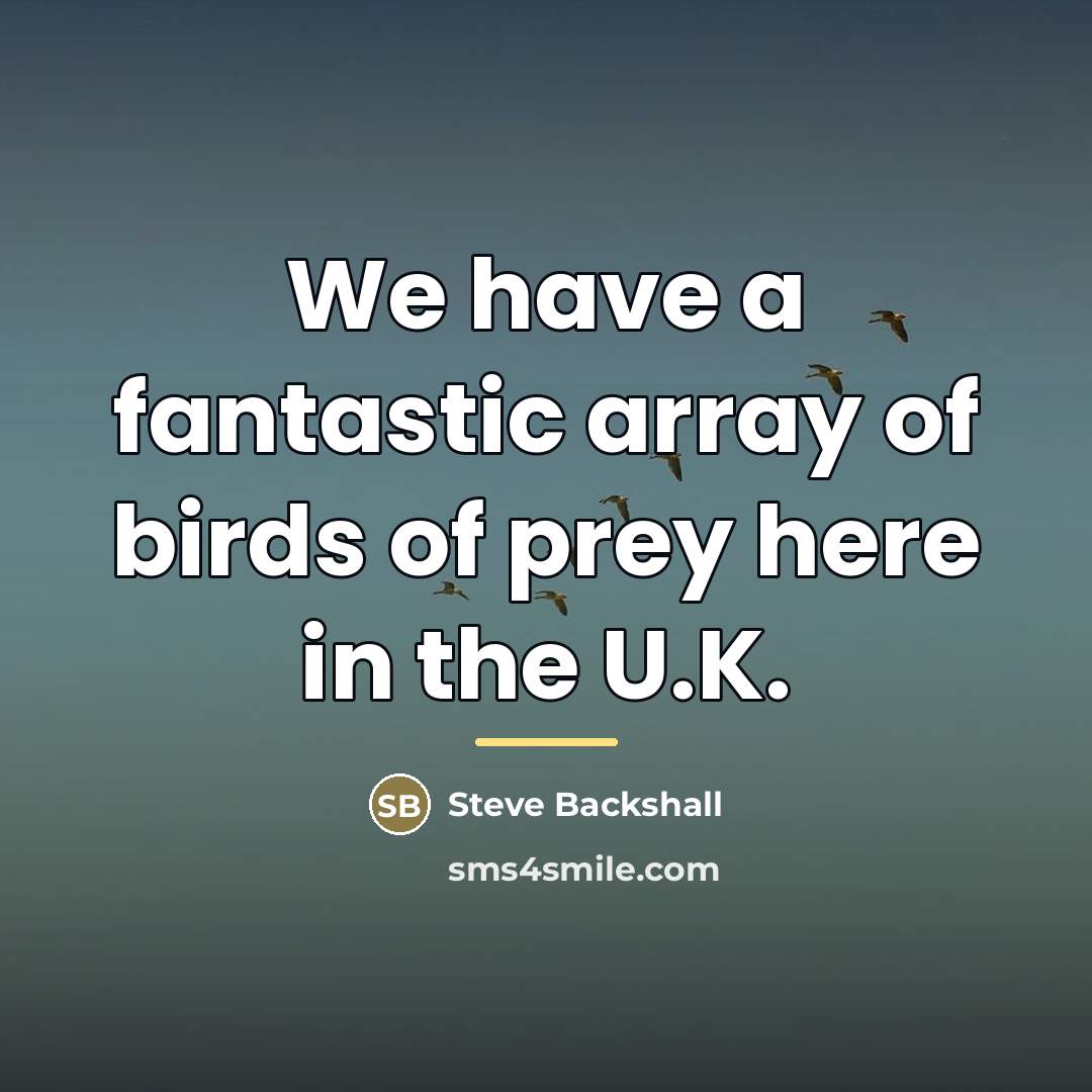 “We have a fantastic array of birds of prey here…” quote by Steve Backshall