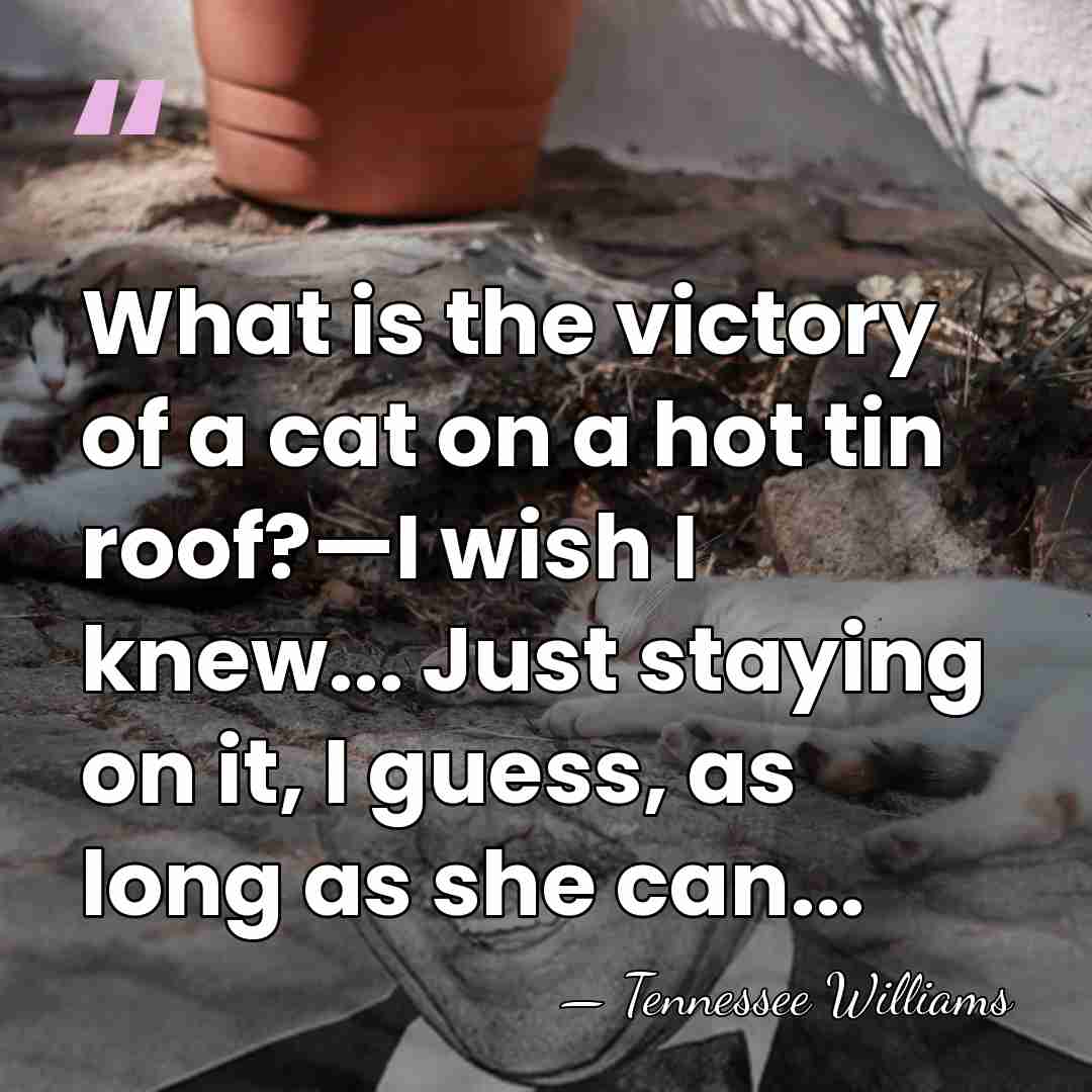 What is the victory of a cat on a hot tin roof?—I&hellip; - Tennessee Williams